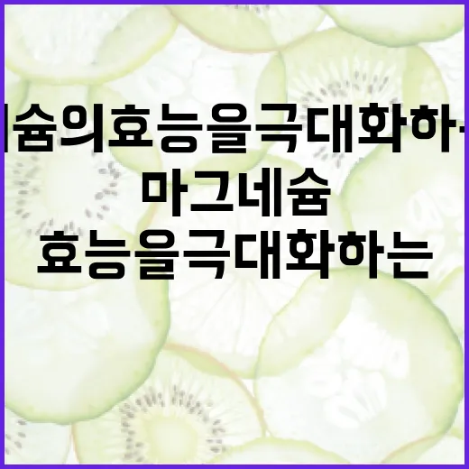 마그네슘의 효능을 극대화하는 방법 - 요약