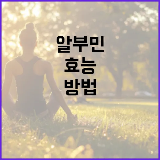 알부민의 효능과 활용 방법 - 요약