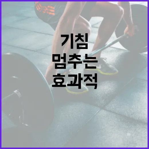 기침을 효과적으로 멈추는 방법 - 요약