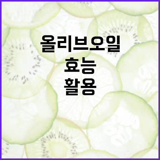 올리브오일의 효능을 최대한 활용하는 방법 - 요약