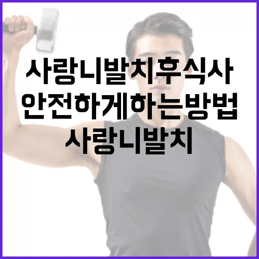 사랑니 발치 후 식사를 안전하게 하는 방법 - 요약