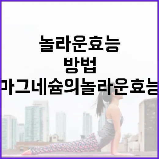 마그네슘의 놀라운 효능을 이해하고 활용하는 방법 - 요약