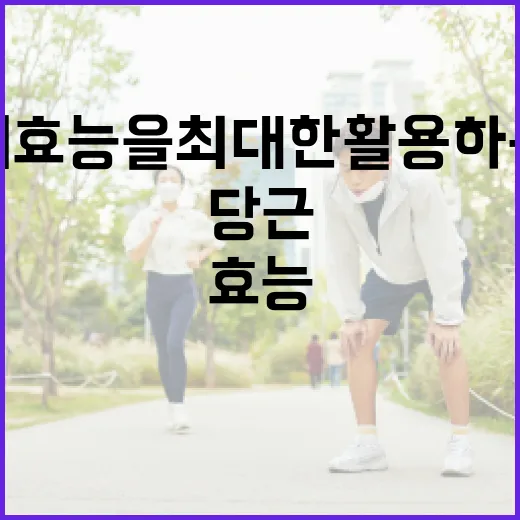 당근의 효능을 최대한 활용하는 방법 - 요약