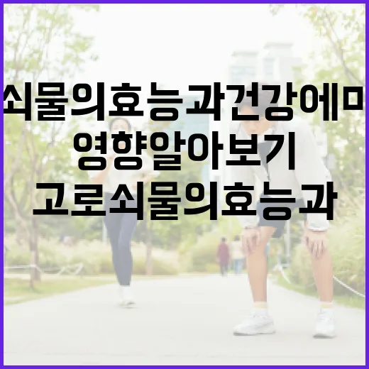 고로쇠물의 효능과 건강에 미치는 긍정적 영향 알아보기 - 요약