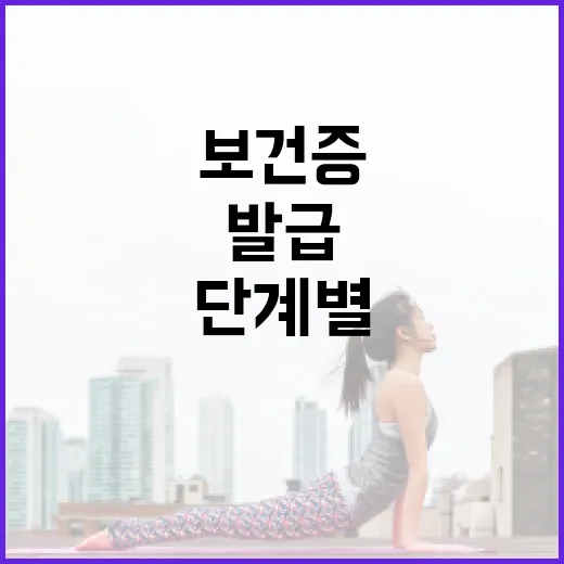 보건증 발급을 위한 단계별 가이드 - 요약