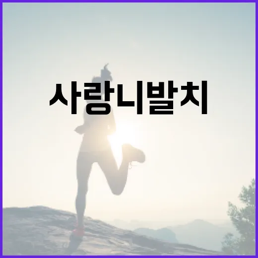 사랑니 발치 후 식사할 때 주의할 점 - 요약