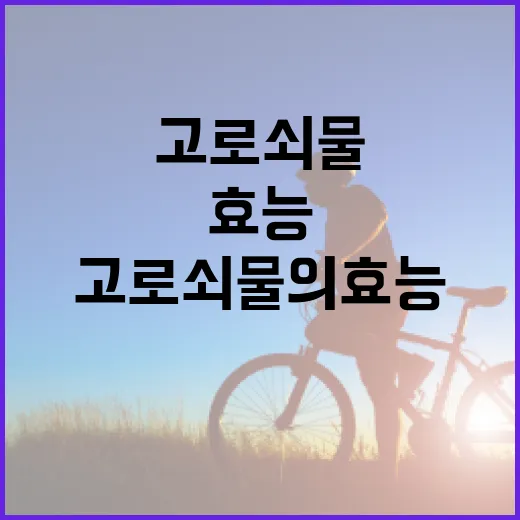 고로쇠물의 효능을 최대한 활용하는 방법 - 요약