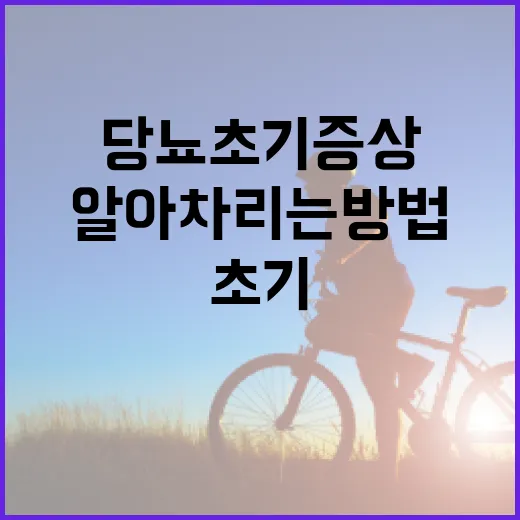 당뇨 초기증상을 알아차리는 방법 - 요약