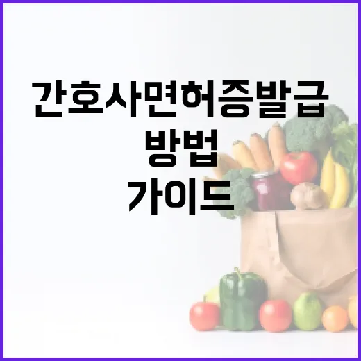 간호사 면허증 발급 받는 방법: 단계별 가이드 - 요약