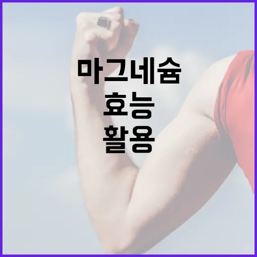 마그네슘 효능을 최대한 활용하는 방법 - 요약