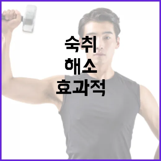 숙취를 효과적으로 해소하는 방법 - 요약