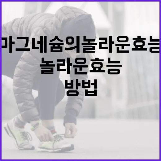 마그네슘의 놀라운 효능을 이해하고 활용하는 방법 - 요약