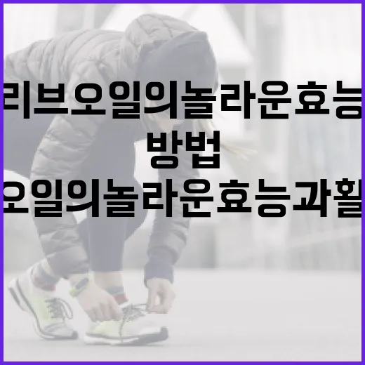 올리브오일의 놀라운 효능과 활용 방법 - 요약