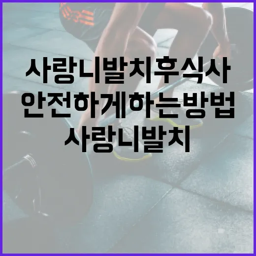 사랑니 발치 후 식사를 안전하게 하는 방법 - 요약