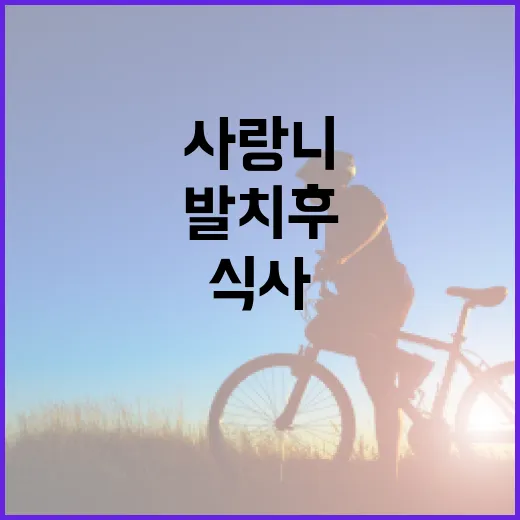 사랑니 발치 후 건강하게 식사하는 방법 - 요약