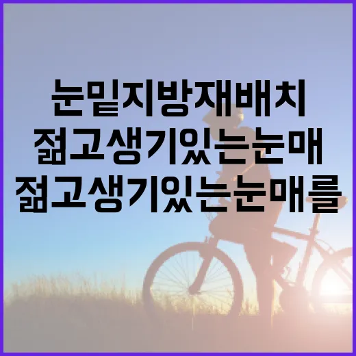 눈밑지방재배치로 젊고 생기 있는 눈매를 만드는 방법 - 요약