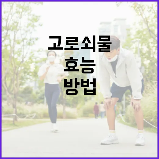 고로쇠물의 효능을 극대화하는 방법 - 요약