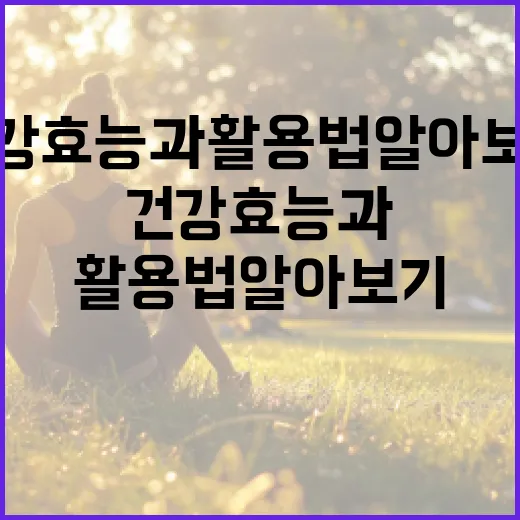 마운자로의 건강 효능과 활용법 알아보기 - 요약