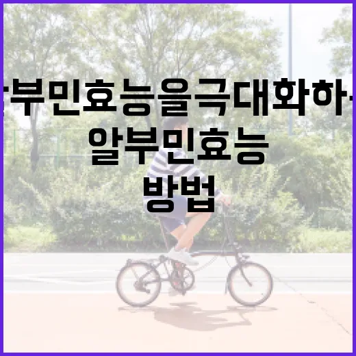 알부민 효능을 극대화하는 방법 - 요약