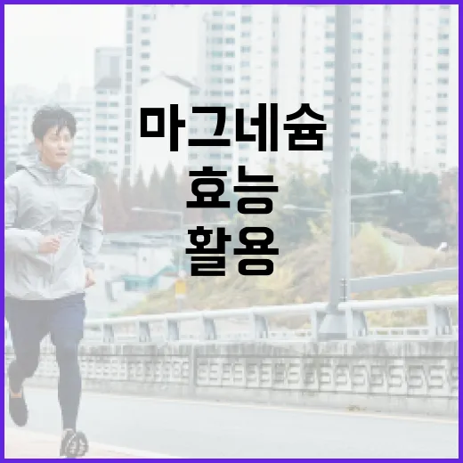 마그네슘의 효능을 최대한 활용하는 방법 - 요약