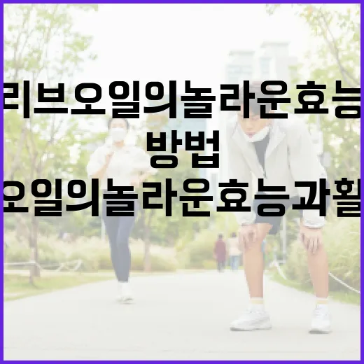 올리브오일의 놀라운 효능과 활용 방법 - 요약