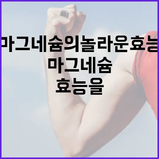 마그네슘의 놀라운 효능을 알아보는 방법 - 요약