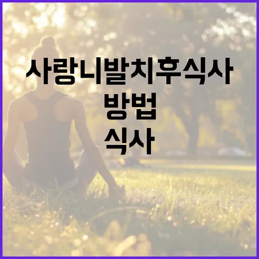 사랑니 발치 후 식사하는 방법 - 요약