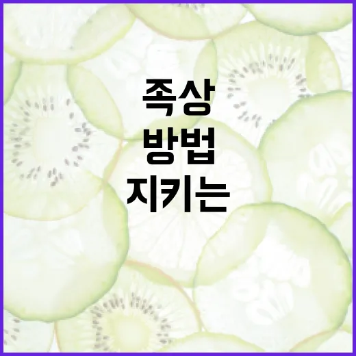 족상을 통해 건강을 지키는 방법 - 요약