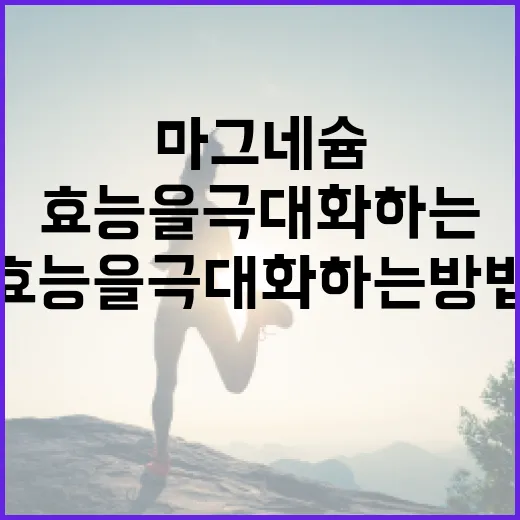 마그네슘 효능을 극대화하는 방법 - 요약