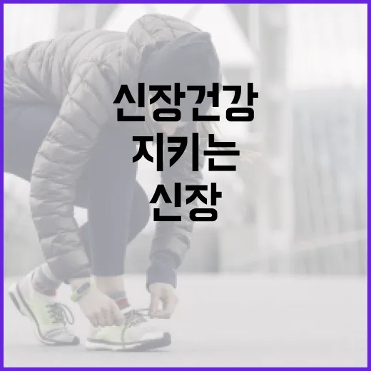 신장 건강을 지키는 음식 선택 방법 - 요약