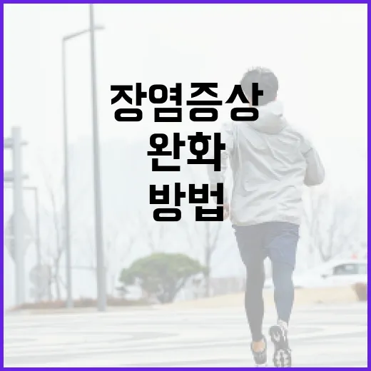 장염 증상을 완화하는 방법 - 요약