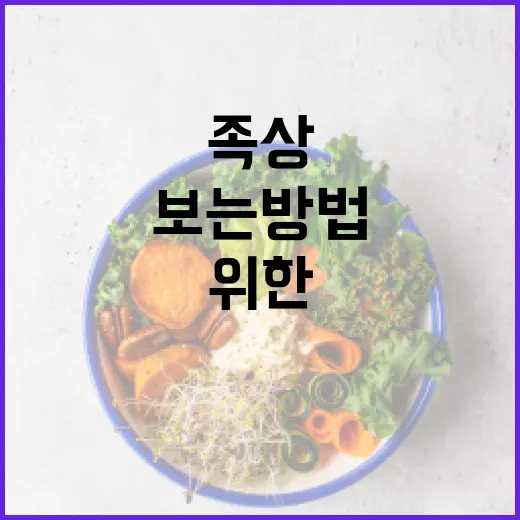 족상을 보는 방법: 건강한 발을 위한 가이드 - 요약