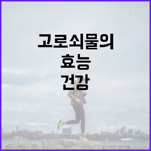 고로쇠물의 놀라운 건강 효능을 아는 방법 - 요약