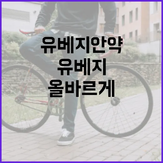 유베지안약을 올바르게 복용하는 방법 - 요약