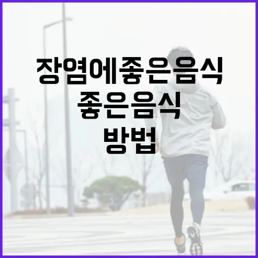 장염에 좋은 음식을 선택하는 방법 - 요약