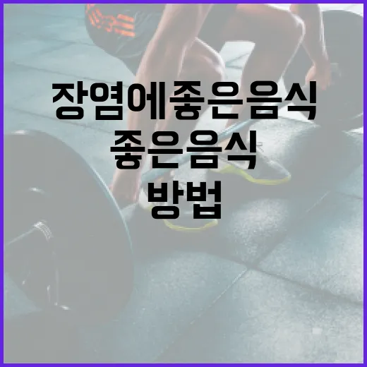 장염에 좋은 음식을 선택하는 방법 - 요약