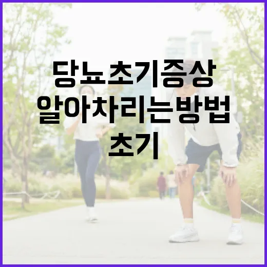 당뇨 초기증상을 알아차리는 방법 - 요약