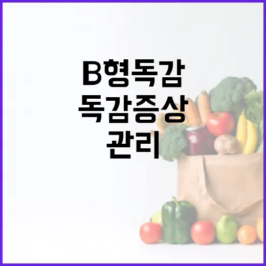 B형 독감 증상을 이해하고 관리하는 방법 - 요약