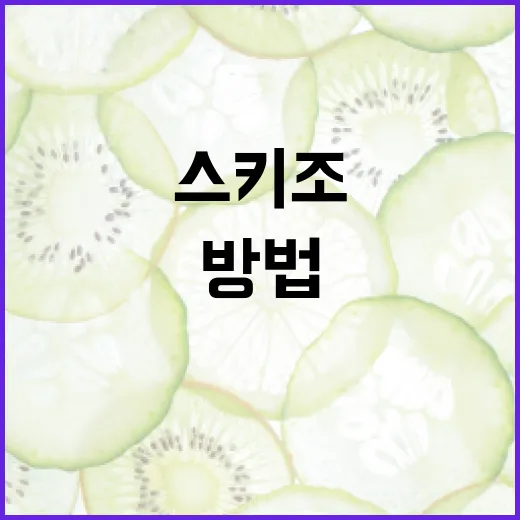 스키조를 이해하고 대처하는 방법 - 요약