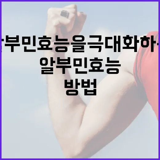 알부민 효능을 극대화하는 방법 - 요약