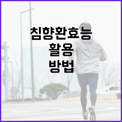 침향환 효능을 최대한 활용하는 방법 - 요약