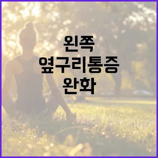 왼쪽 옆구리 통증을 완화하는 방법 - 요약