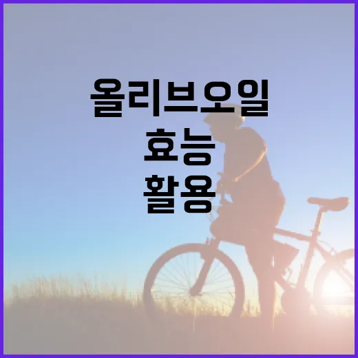 올리브오일의 효능을 최대한 활용하는 방법 - 요약