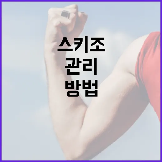 스키조를 관리하는 방법 - 요약