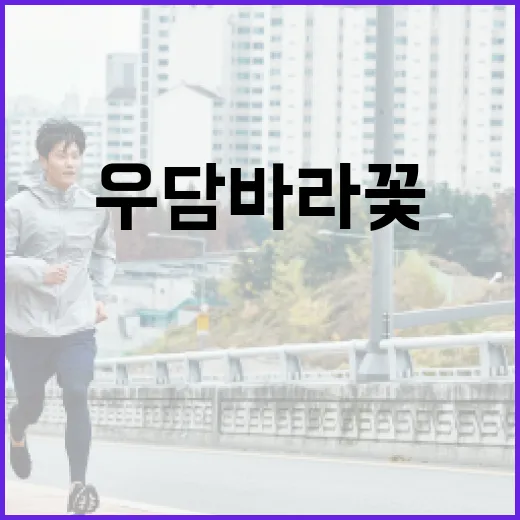 우담바라꽃이 주는 건강상의 이점과 이를 활용하는 방법 - 요약