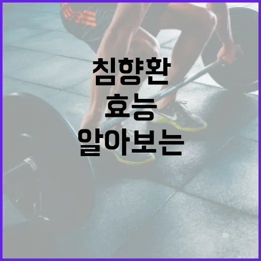 침향환의 놀라운 효능을 알아보는 방법 - 요약