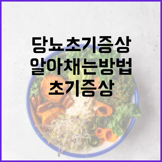 당뇨 초기 증상을 알아채는 방법 - 요약
