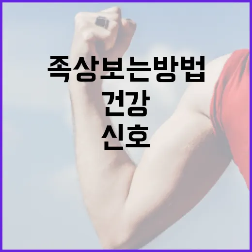 족상 보는 방법: 건강을 위한 발의 신호 읽기 - 요약