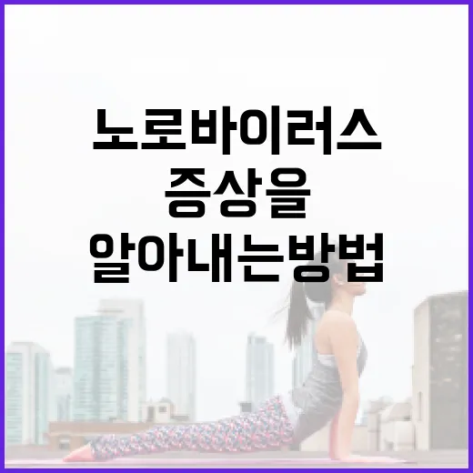 노로바이러스 증상을 알아내는 방법 - 요약