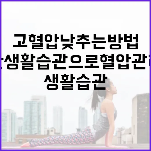 고혈압 낮추는 방법: 건강한 생활습관으로 혈압 관리하기 - 요약